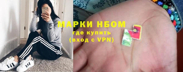 хмурый Нея