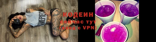 хмурый Нея