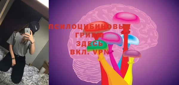 хмурый Нея