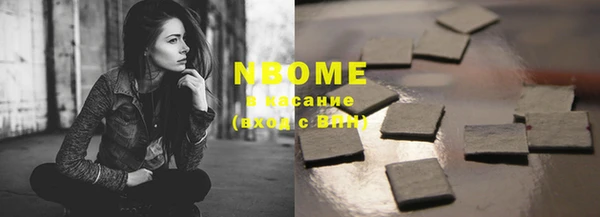 хмурый Нея