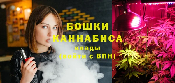 хмурый Нея