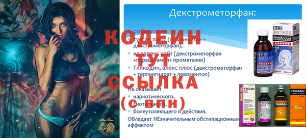 хмурый Нея