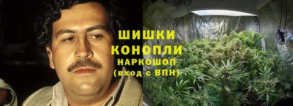 хмурый Нея