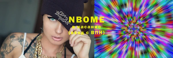 хмурый Нея