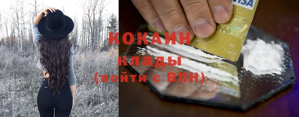 хмурый Нея